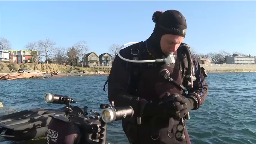 Cinematographer highlights waters off of Vancouver Island