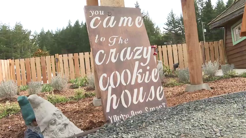 Order Up: Crazy Cookie House