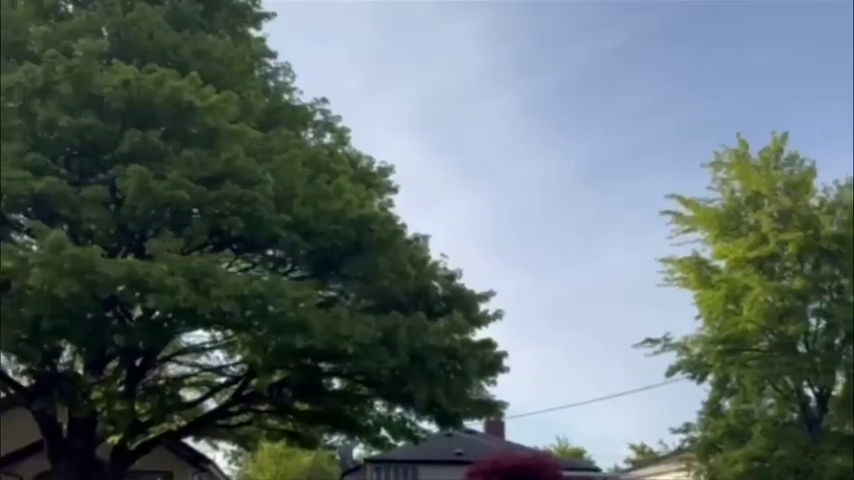 Video shows planes flying low in Saanich for invasive moth spray