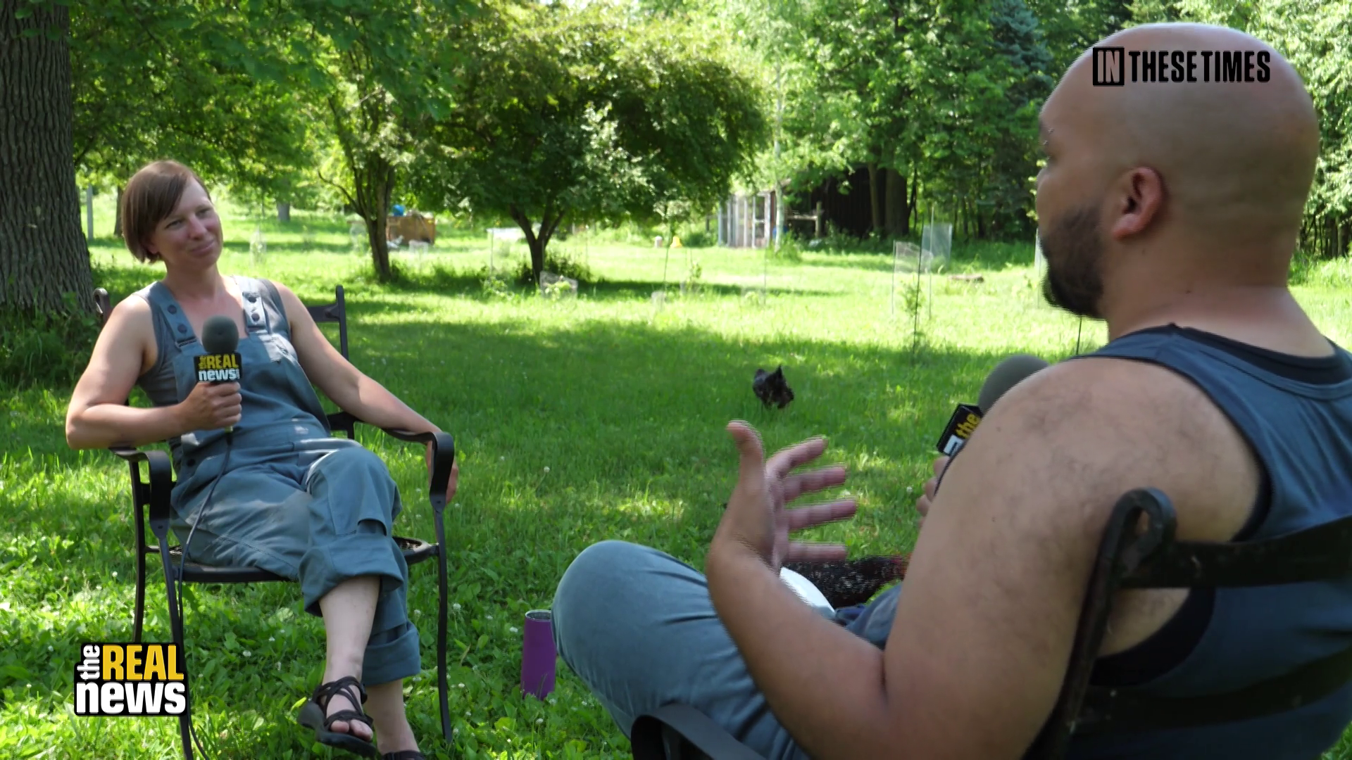 Krysty Lynn Allen CAFO Interview